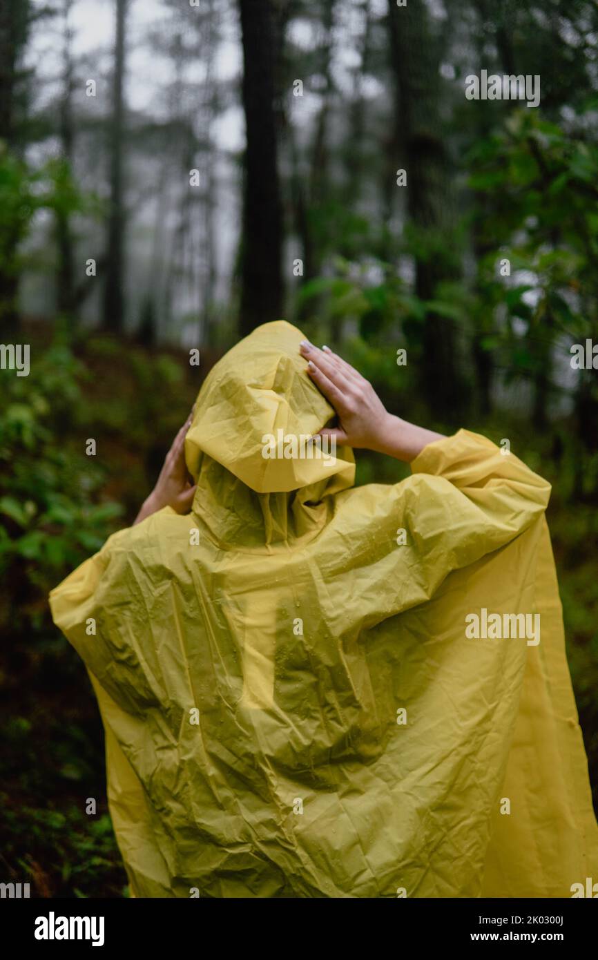 A person in yellow raincoat walking in a wet forest Stock Photo - Alamy