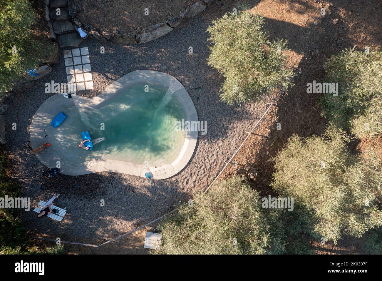 Swimming pool in olive grove, Grosseto province, Tuscany, Italy Stock Photo