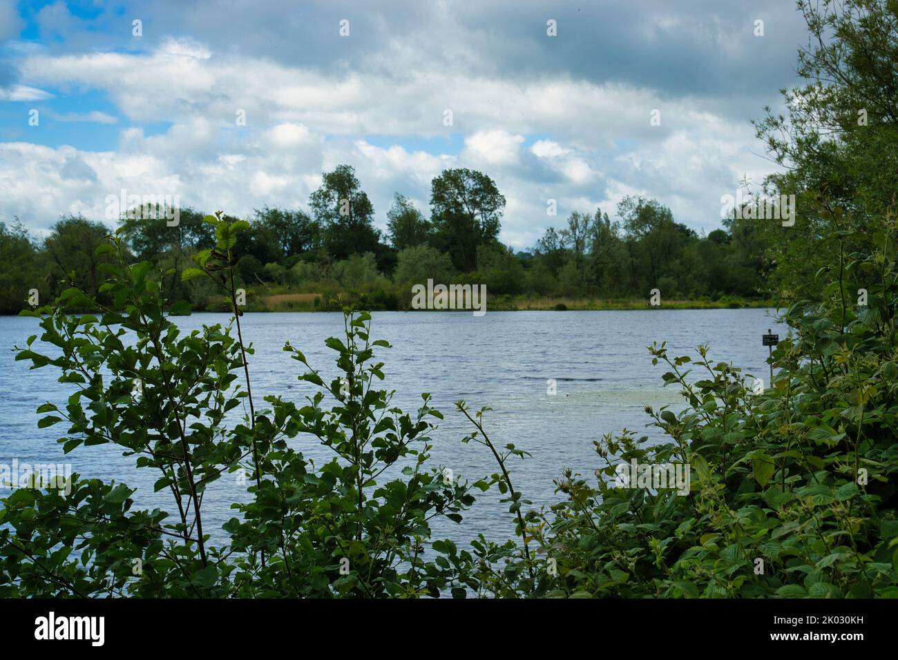 A blue lake surrounded by lush greenery under blue cloudy sky Stock ...