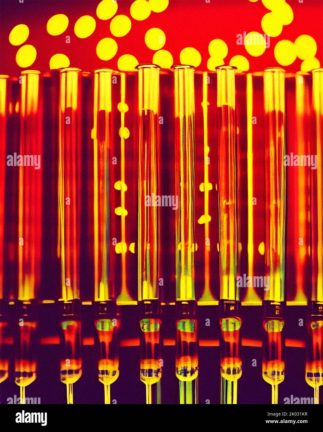 Test tubes in a science laboratory Stock Photo Alamy