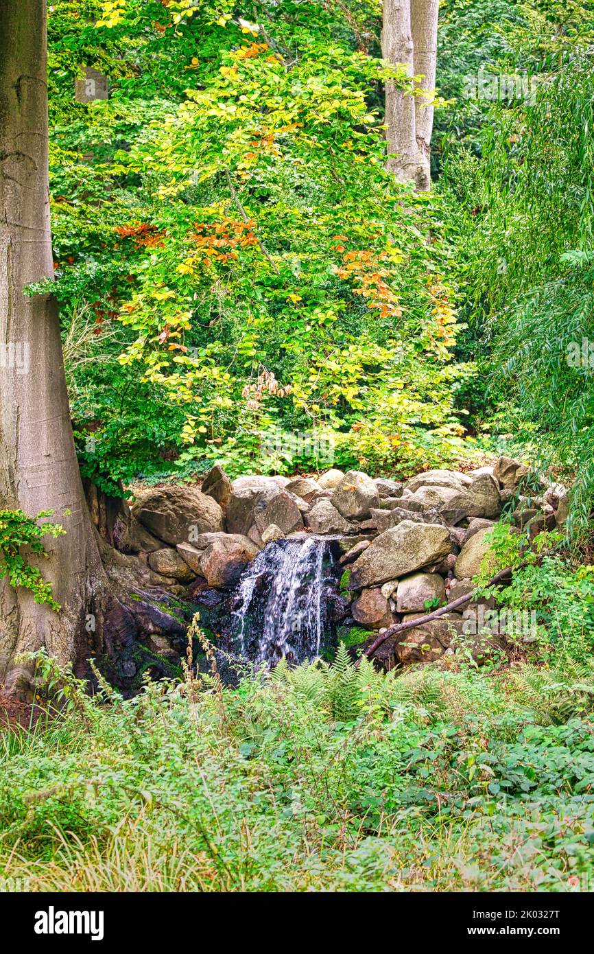 A beautiful view of a small waterfall in a forest with green plants and ...