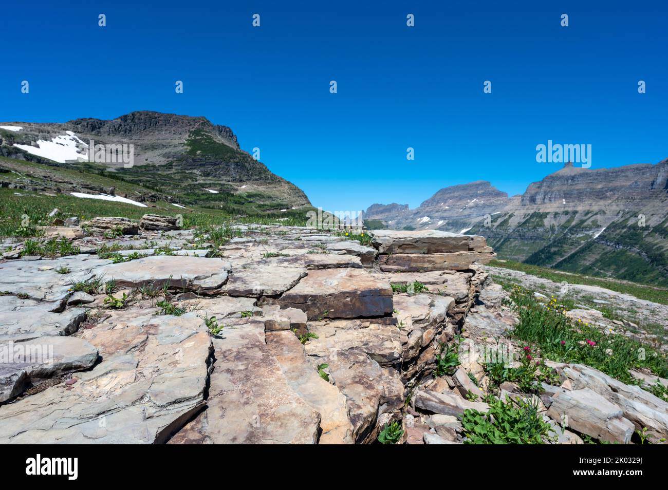 Sedimentary rock outcrop along Logan Pass trail in Glacier National Park, Montana.  Stock Photo