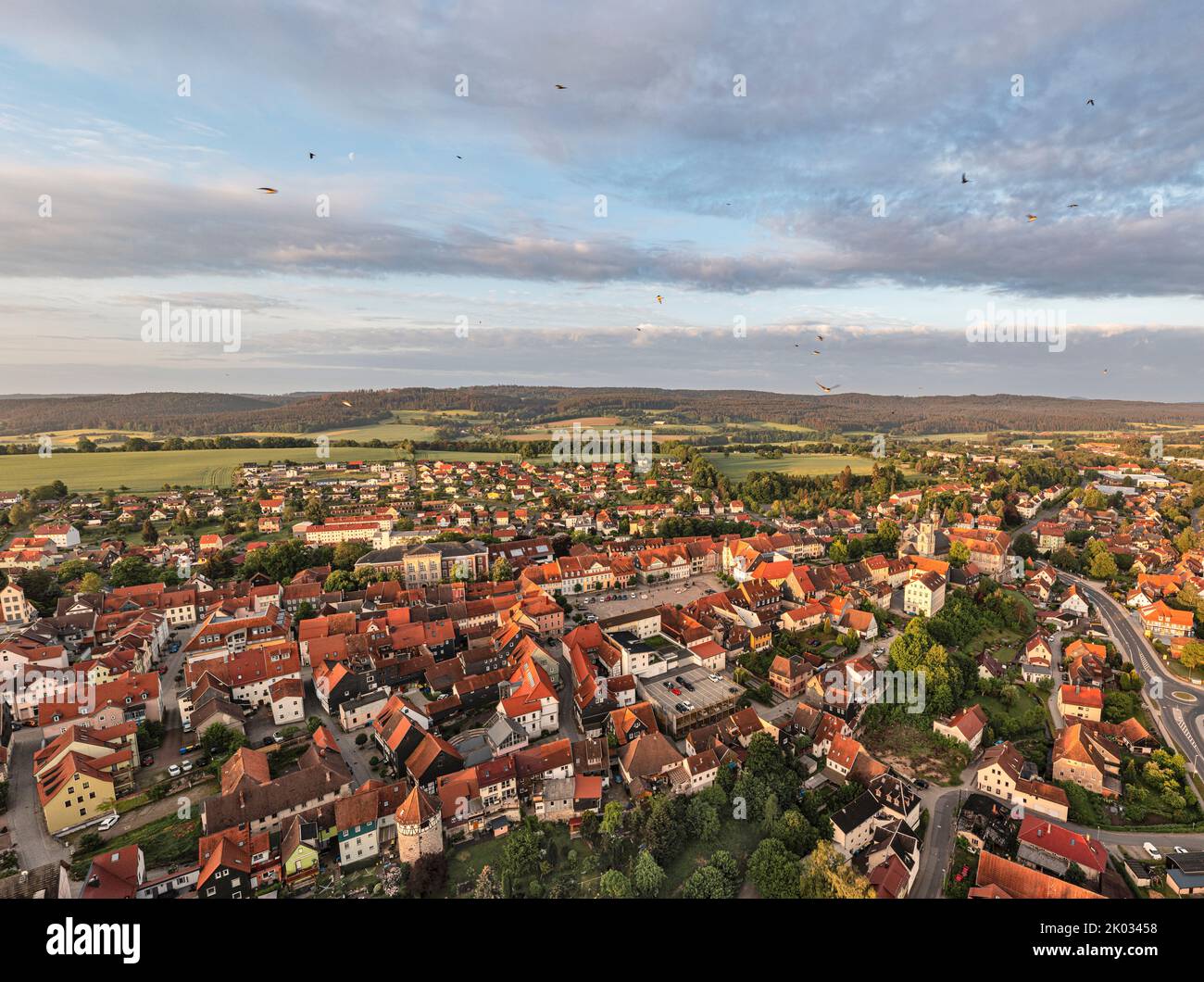 Germany, Thuringia, Schleusingen, city, market place, Bertholdsburg castle, St. Johannis city church, center, forest and mountains in background, morning light, overview, aerial view Stock Photo