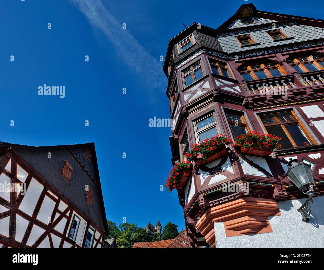 Europe, Germany, Hesse, HessenNassau, Taunus, Taunus Nature Park