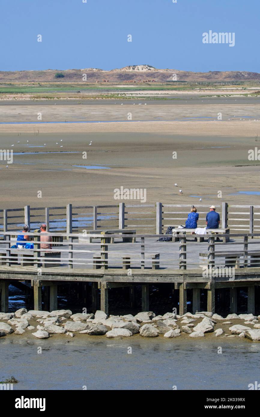 Tourists / walkers resting on wooden lookout platform, vantage point offering view over saltmarsh and coastal birds at Zwin nature reserve, Belgium Stock Photo