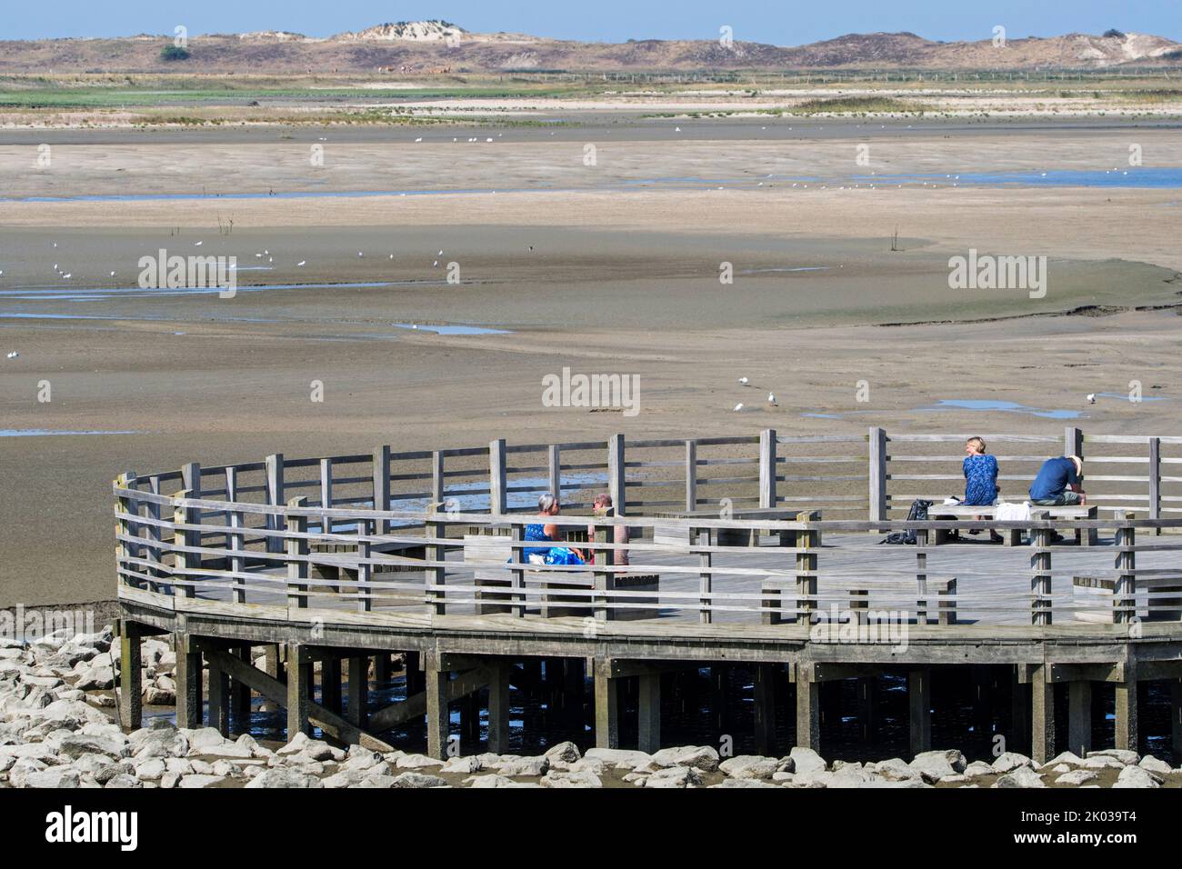 Tourists / walkers resting on wooden lookout platform, vantage point offering view over saltmarsh and coastal birds at Zwin nature reserve, Belgium Stock Photo