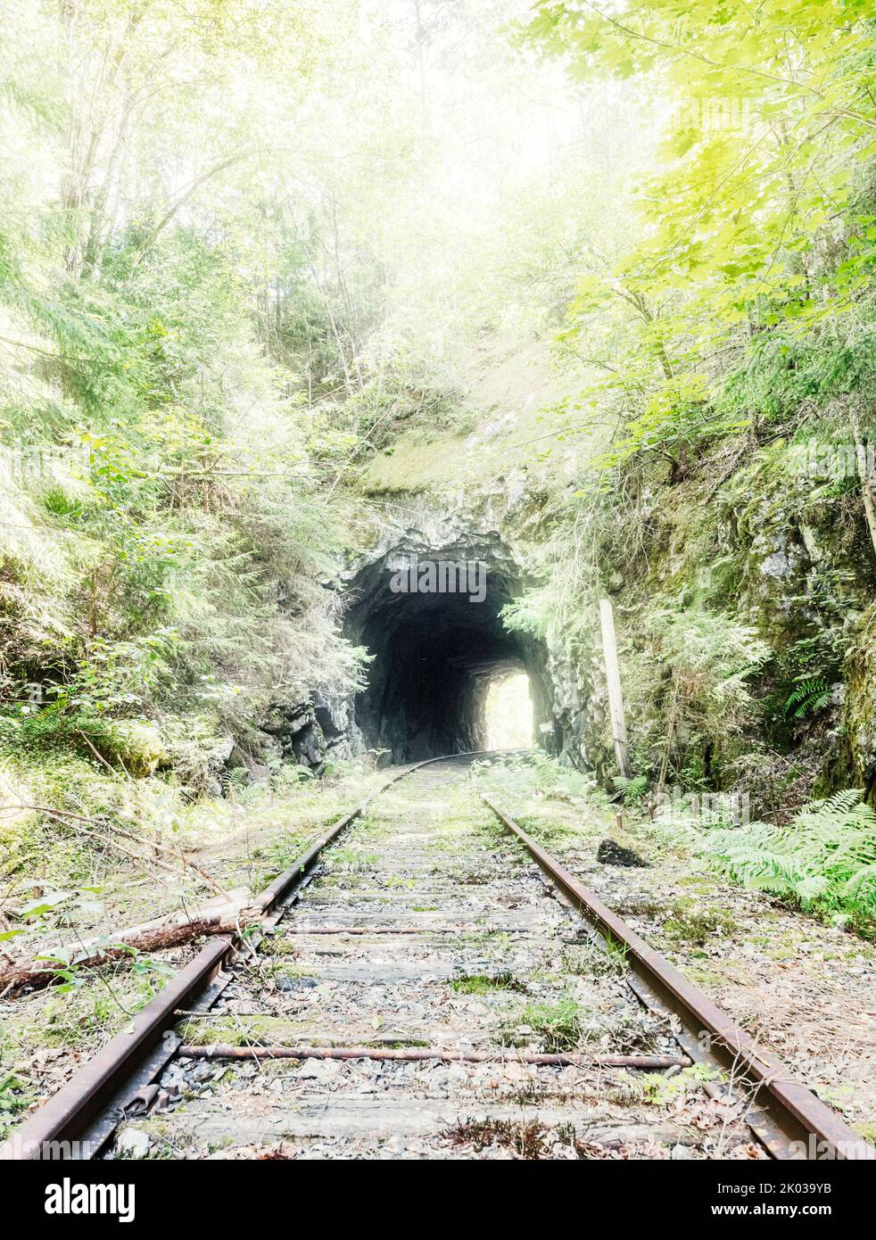 Norway, Vestfold og Telemark, Kragerø, Heldøa, track, tunnel, disused, overgrown, backlight, digitally processed Stock Photo