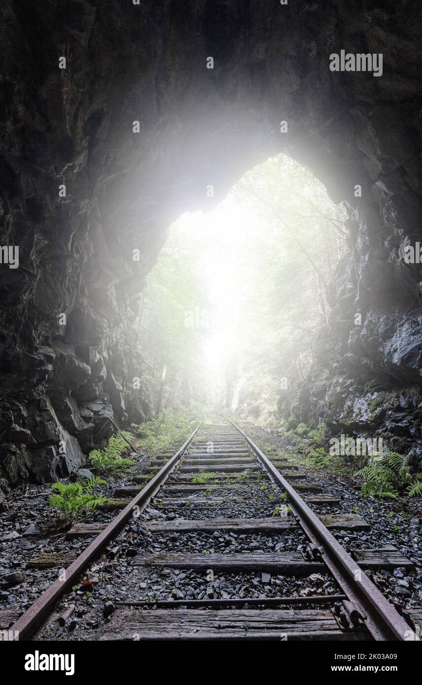 Norway, Vestfold og Telemark, Kragerø, Heldøa, track, tunnel, disused, backlight, digitally processed Stock Photo