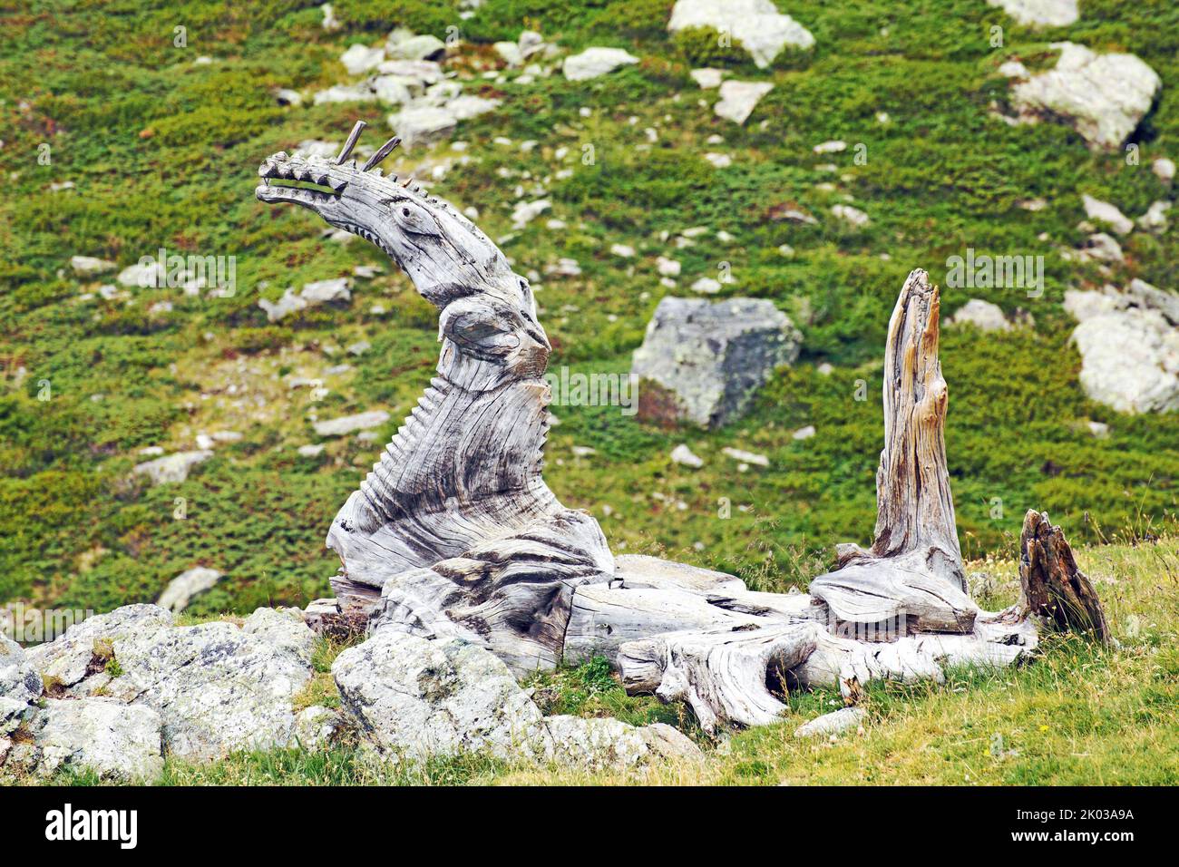 Dragon head sawn from a tree trunk, alpine pasture area in the South Tyrolean Ulten Valley Stock Photo