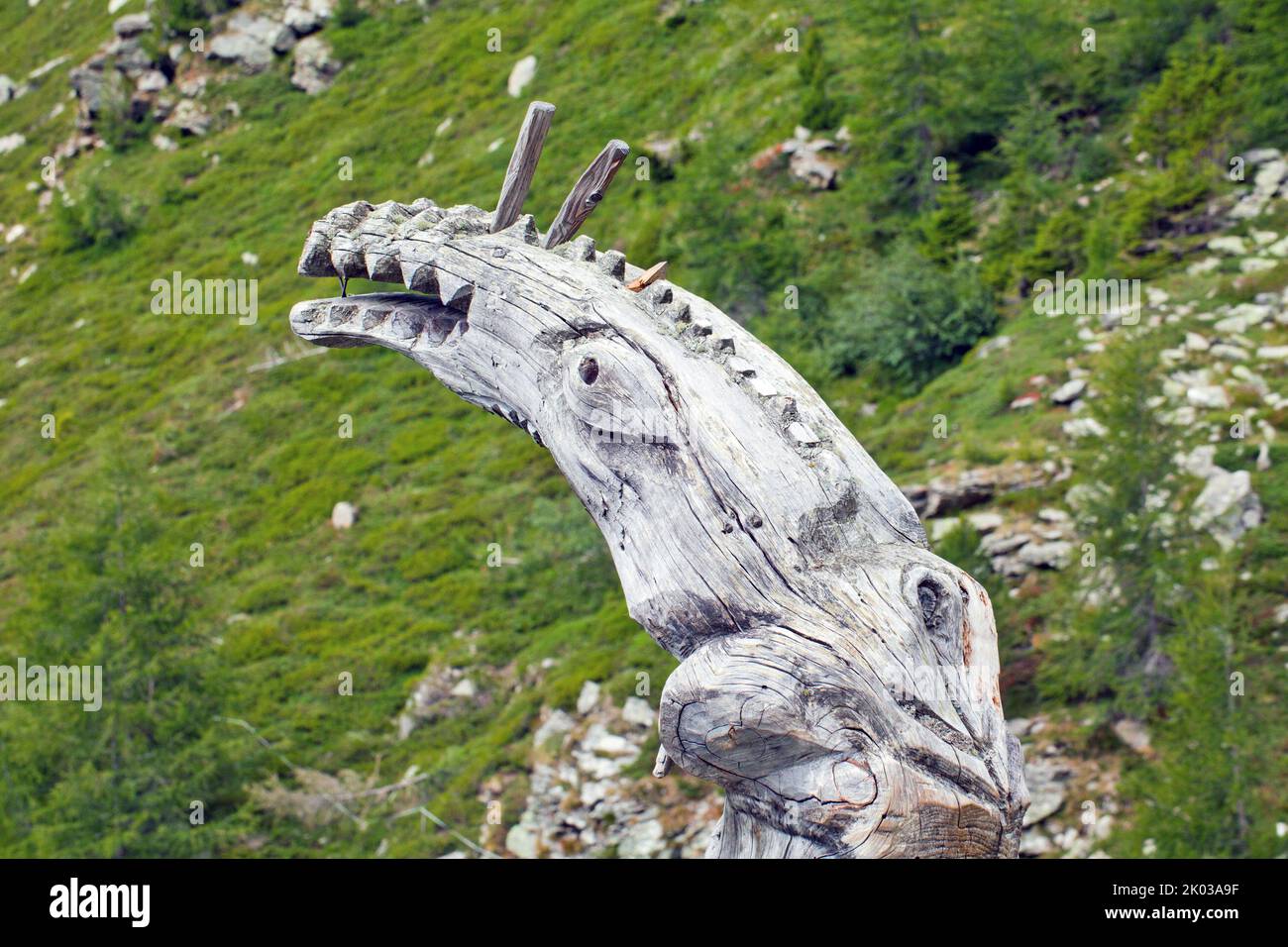 Dragon head sawn from a tree trunk, alpine pasture area in the South Tyrolean Ulten Valley Stock Photo
