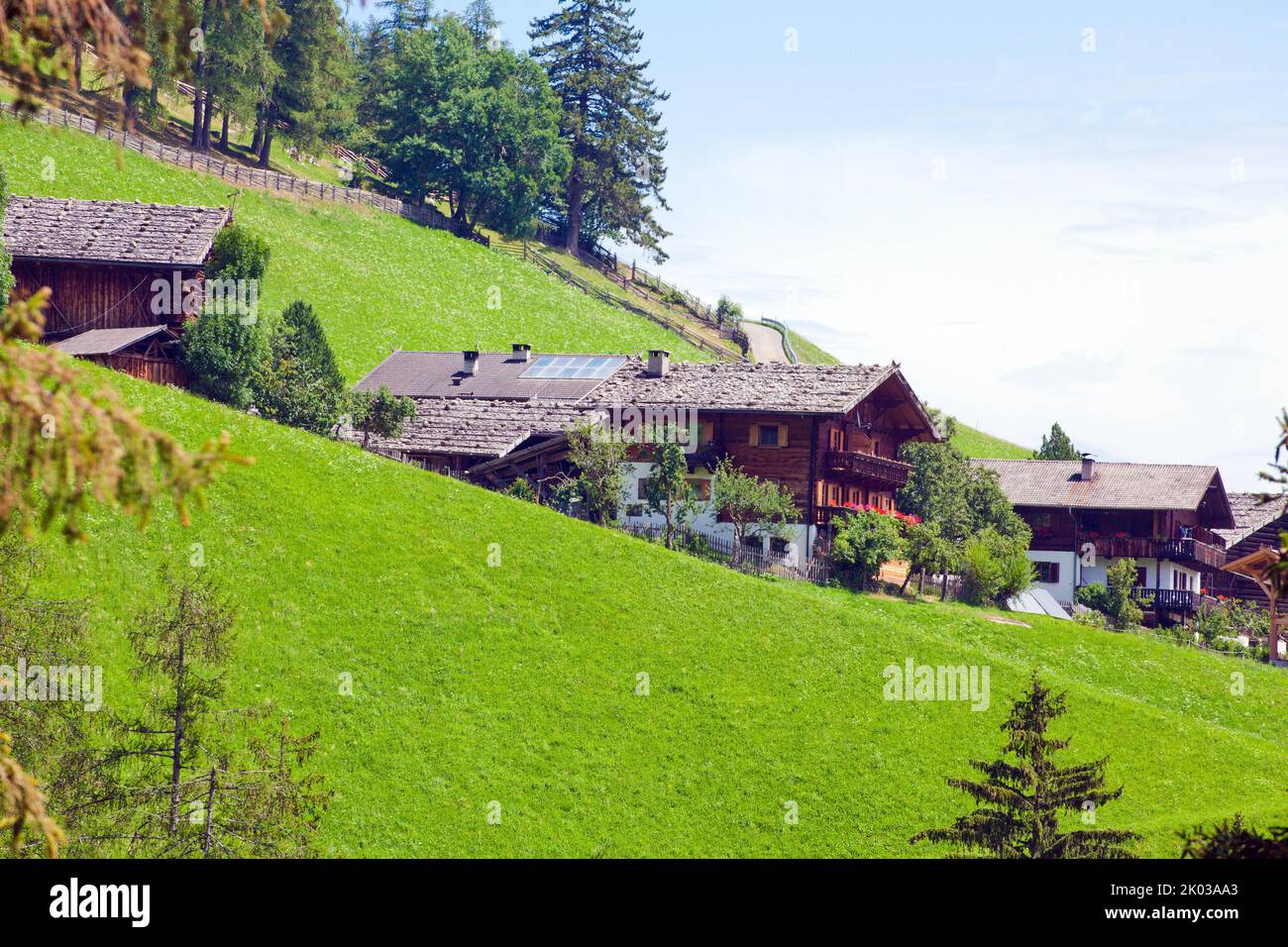 Mountain farmhouses on the steep slope in the South Tyrolean Ulten Valley Stock Photo