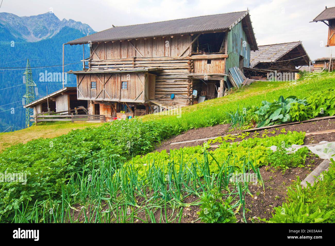 Vegetable garden in front of the barn at the mountain farm in the South Tyrolean Ulten Valley Stock Photo