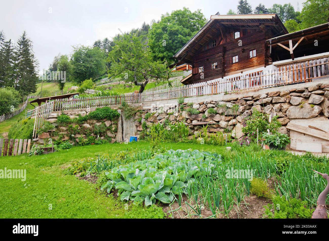 Vegetable garden in front of a mountain farm in the South Tyrolean Ulten Valley Stock Photo