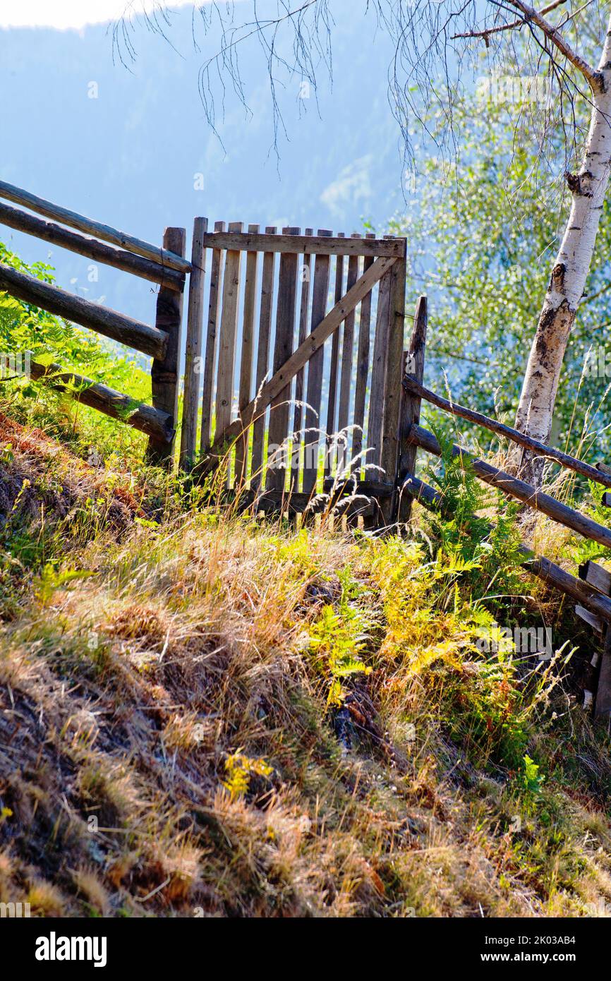 Wooden fence on steep mountain meadow in morning light in South Tyrolean Ulten Valley Stock Photo