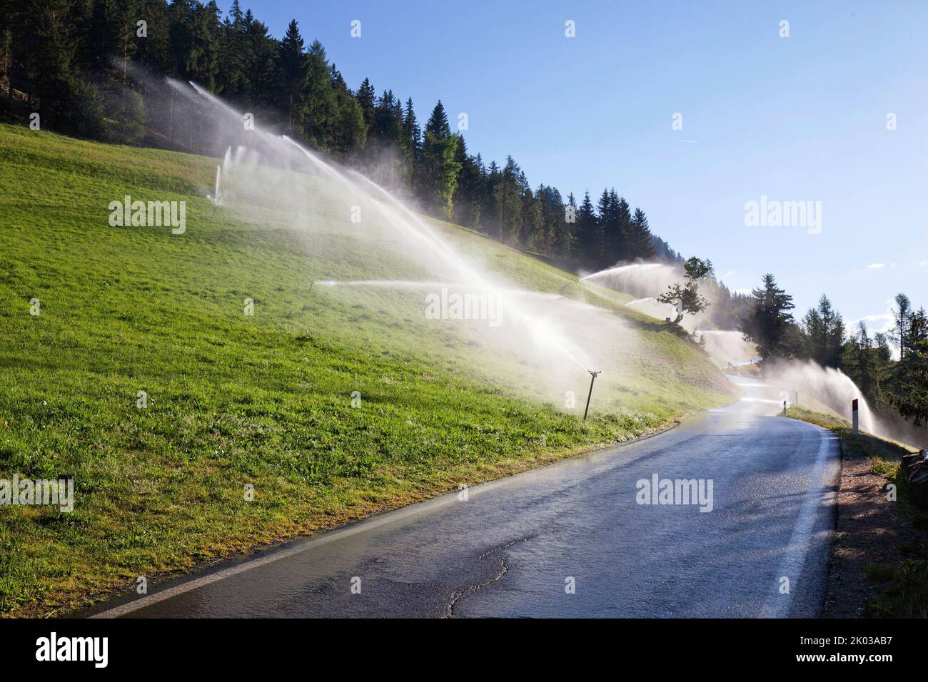 Watering the mountain meadows in the South Tyrolean Ulten Valley Stock Photo