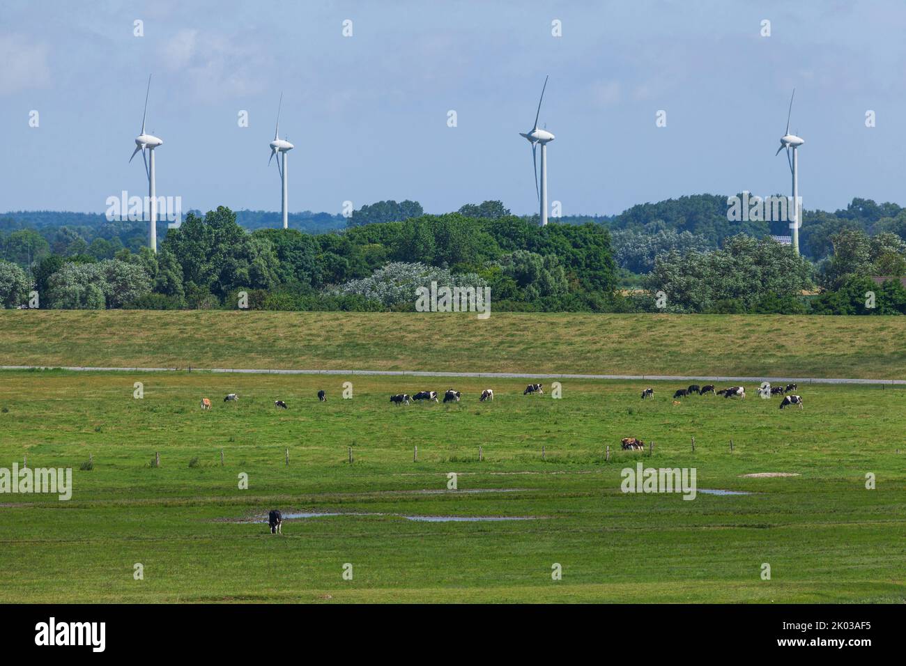 Wind turbines, mudflats, Dorumer Neufeld, Dorum, Lower Saxony, Germany, Europe Stock Photo