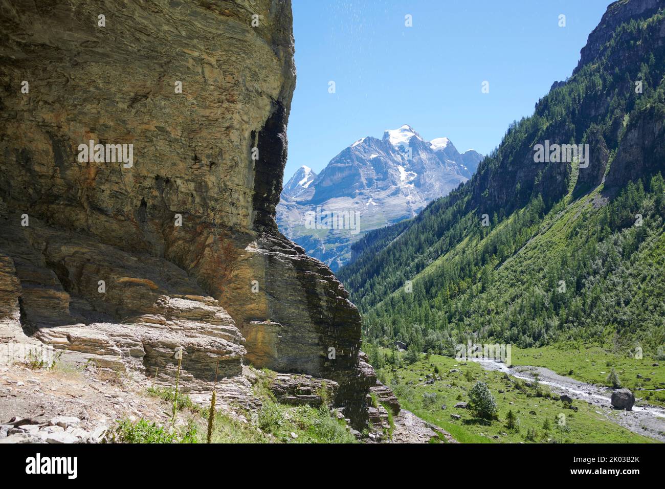 Mountain balm hi-res stock photography and images - Alamy