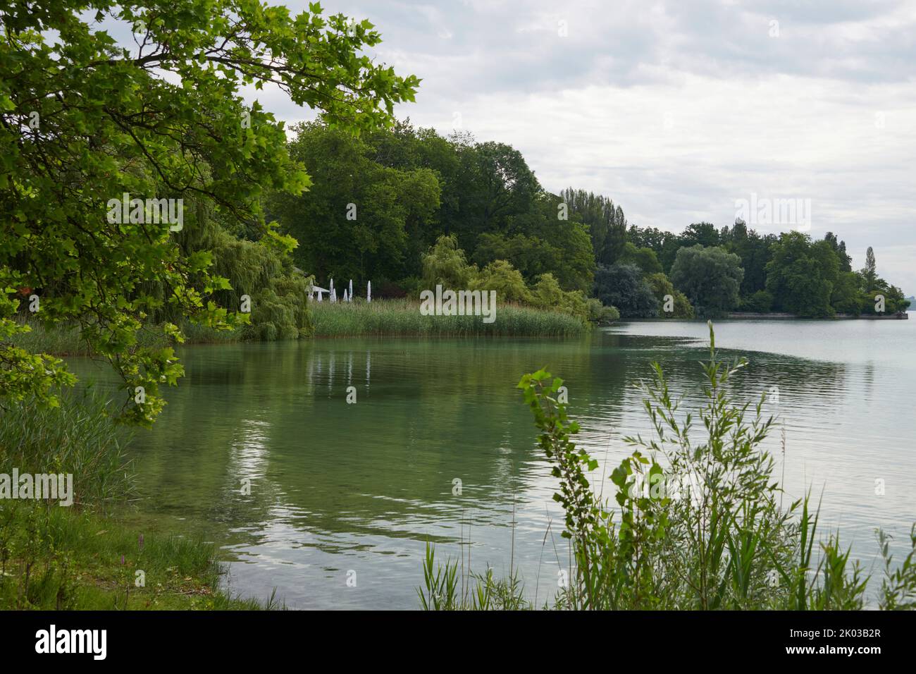 Lake Constance, lakeshore Stock Photo