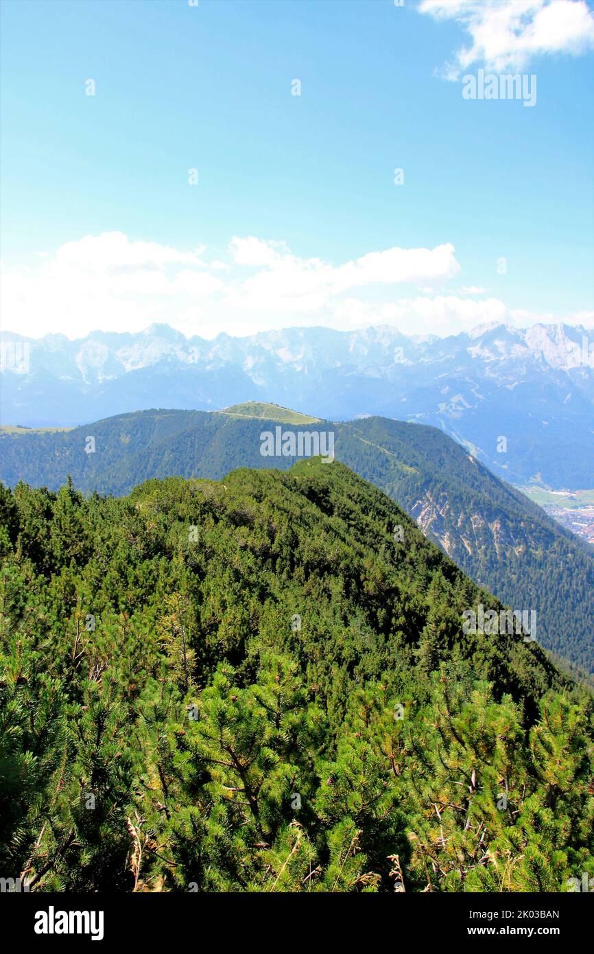 View from Fricken (1940 m), Estergebirge, towards Wank in the background you can see the Wetterstein mountains, Europe, Germany, Bavaria, Upper Bavaria, Werdenfelser Land, Bavarian Prealps, Stock Photo