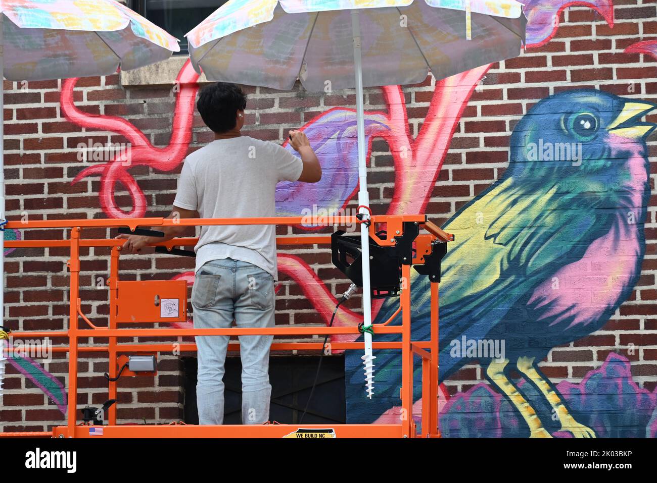 Raleigh, NC, USA, 8th September 2022, Artist Gabriel Eng-Goetz works on the details for a downtown mural celebrating Dix Park and the power of green spaces. The mural is scheduled to be officially unveiled to the public in an event on Saturday. Credit D Guest Smith / Alamy News Stock Photo