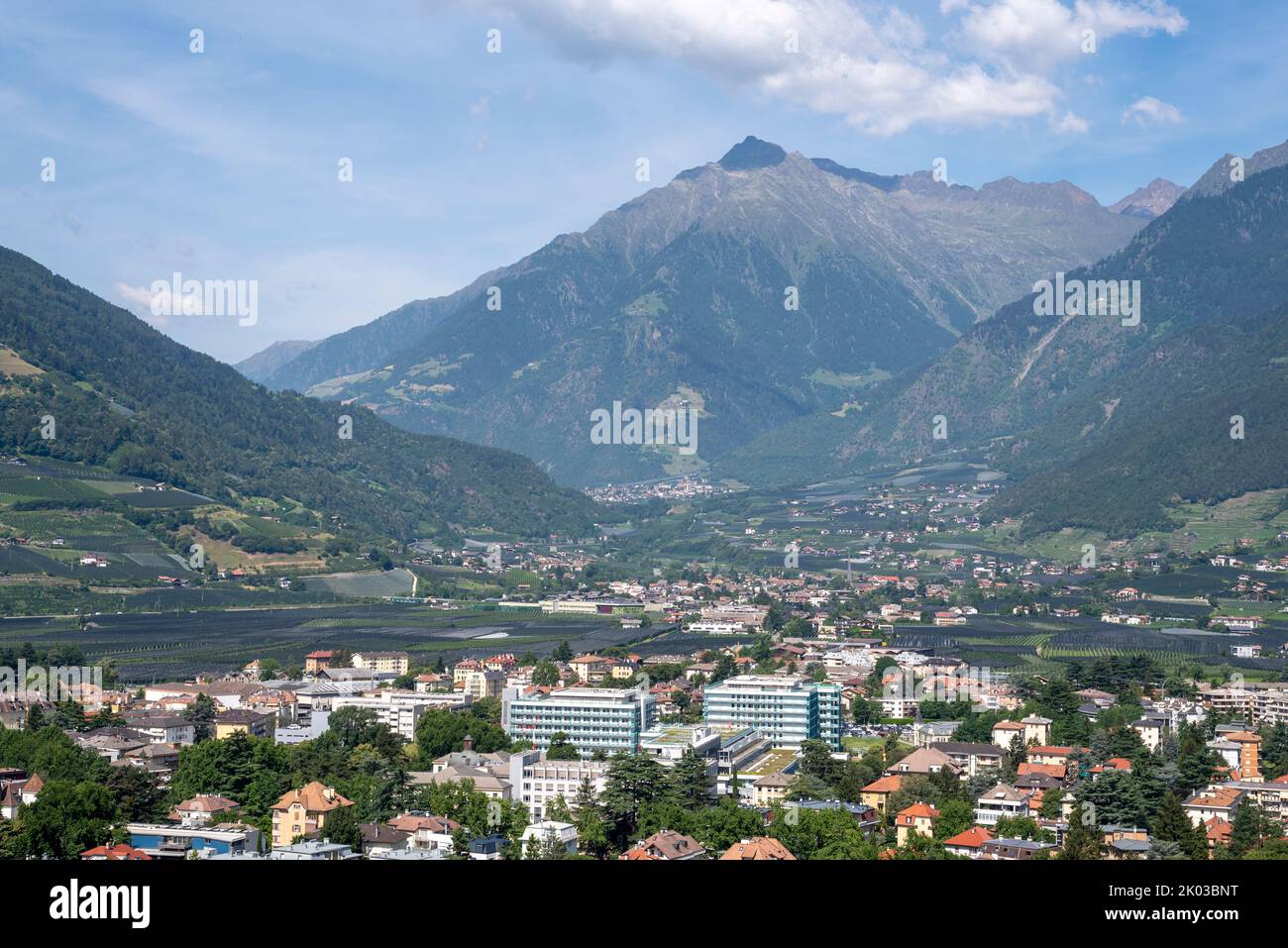 Merano countryside, apple orchards, residential houses, spa town Merano, South Tyrol, Italy Stock Photo