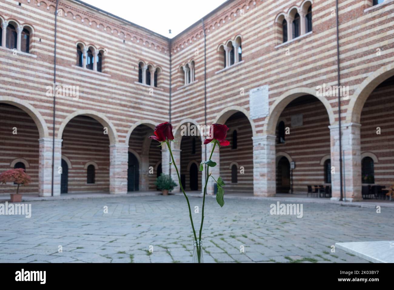 Two roses, Verona, Veneto, Italy Stock Photo