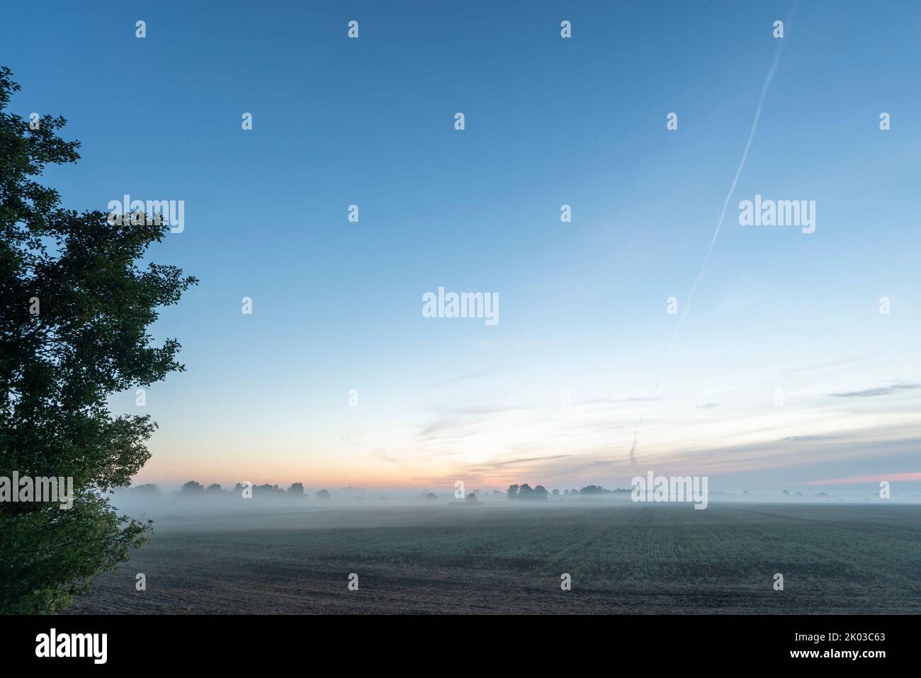 Fog lies over a field in the nature park Westhavelland, sunrise, Großderschau, Brandenburg, Germany Stock Photo