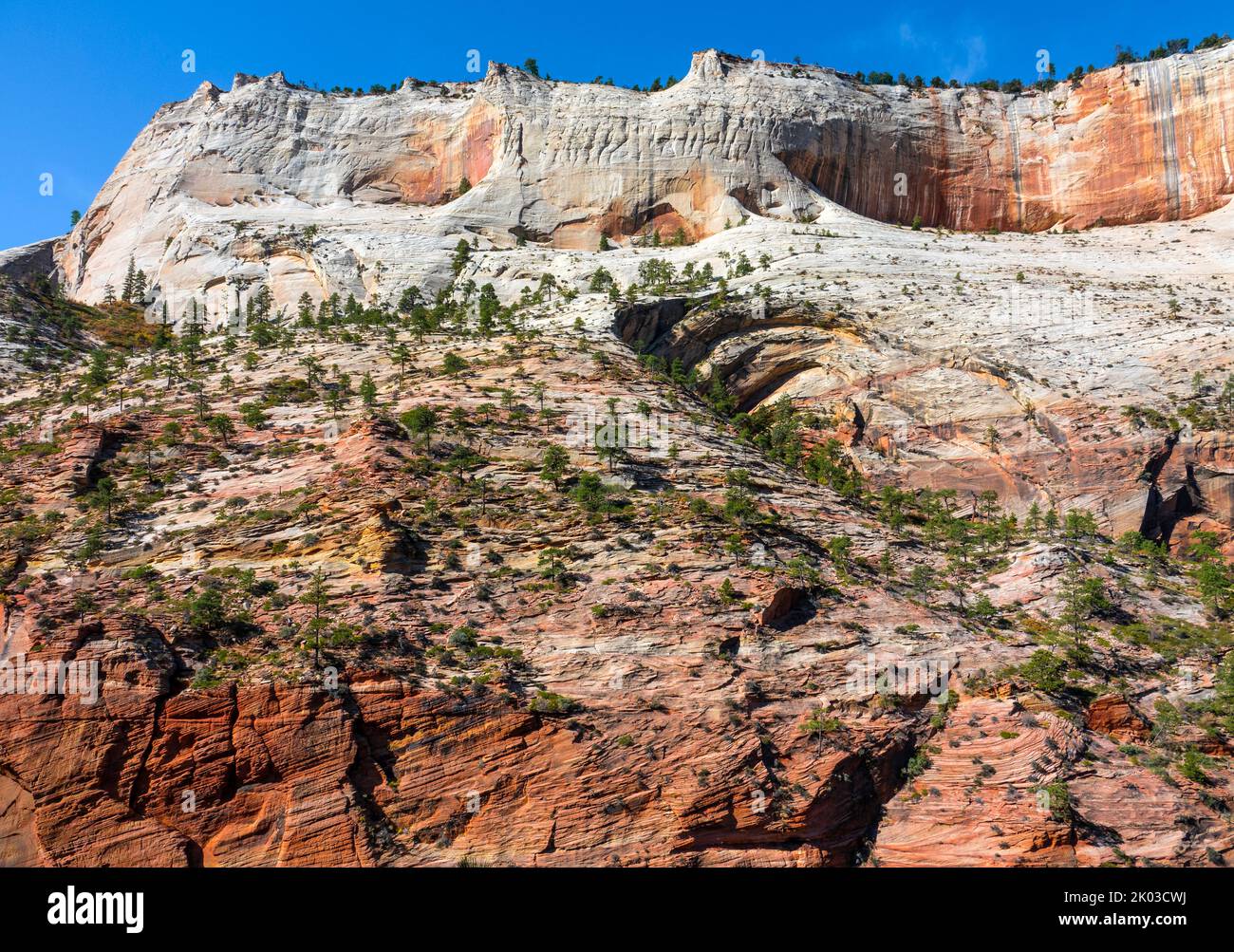 Zion National Park is located in southwestern Utah on the border with Arizona. It has an area of 579 kö² and lies between 1128 m and 2660 m altitude. Rock landscape, view from Angels Landing Trail over the Fridge Canyon. Stock Photo