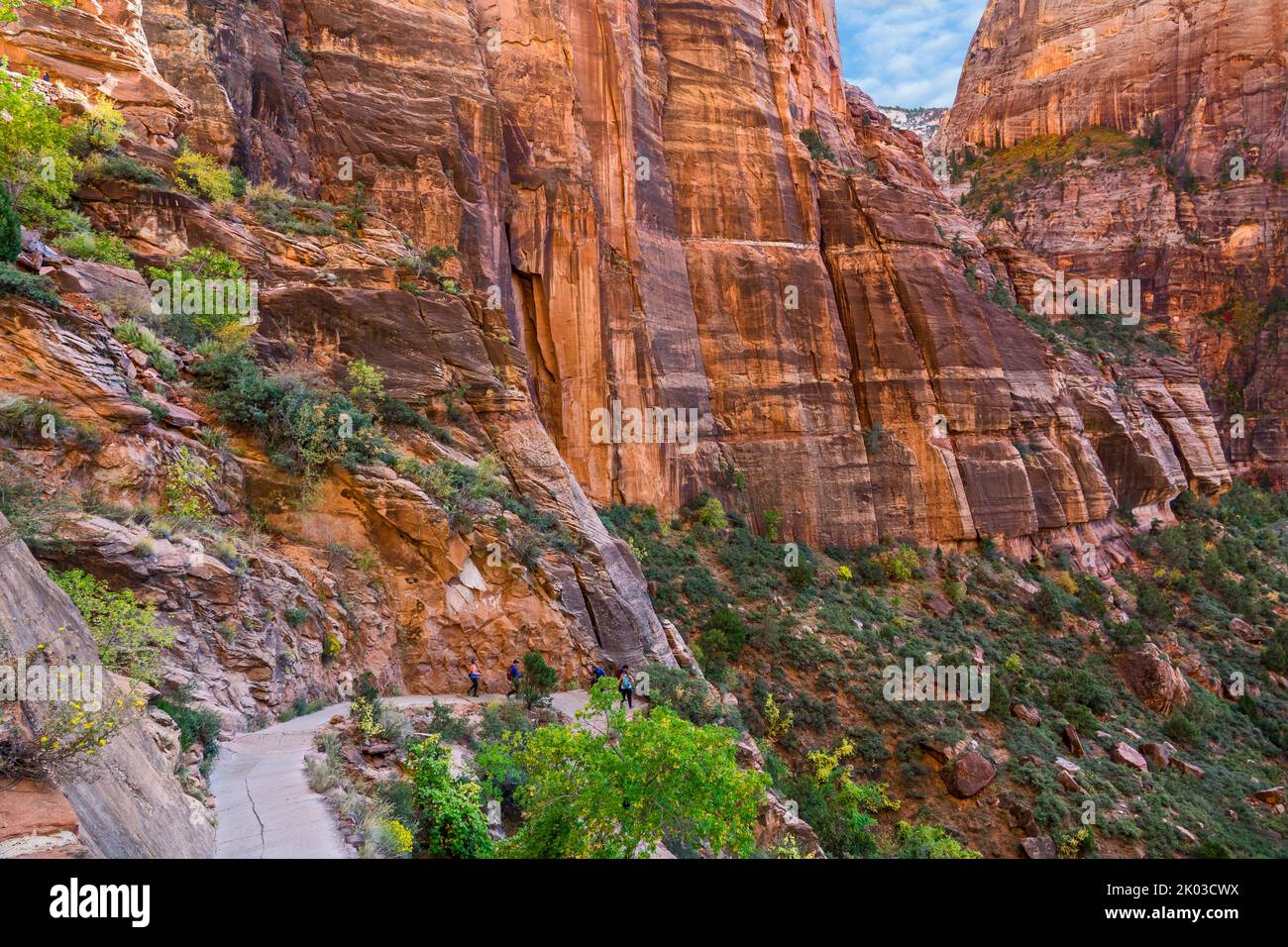 Zion National Park is located in southwestern Utah on the border with Arizona. It has an area of 579 kö² and lies between 1128 m and 2660 m altitude. West Rim Trail, Fridge Canyon Stock Photo