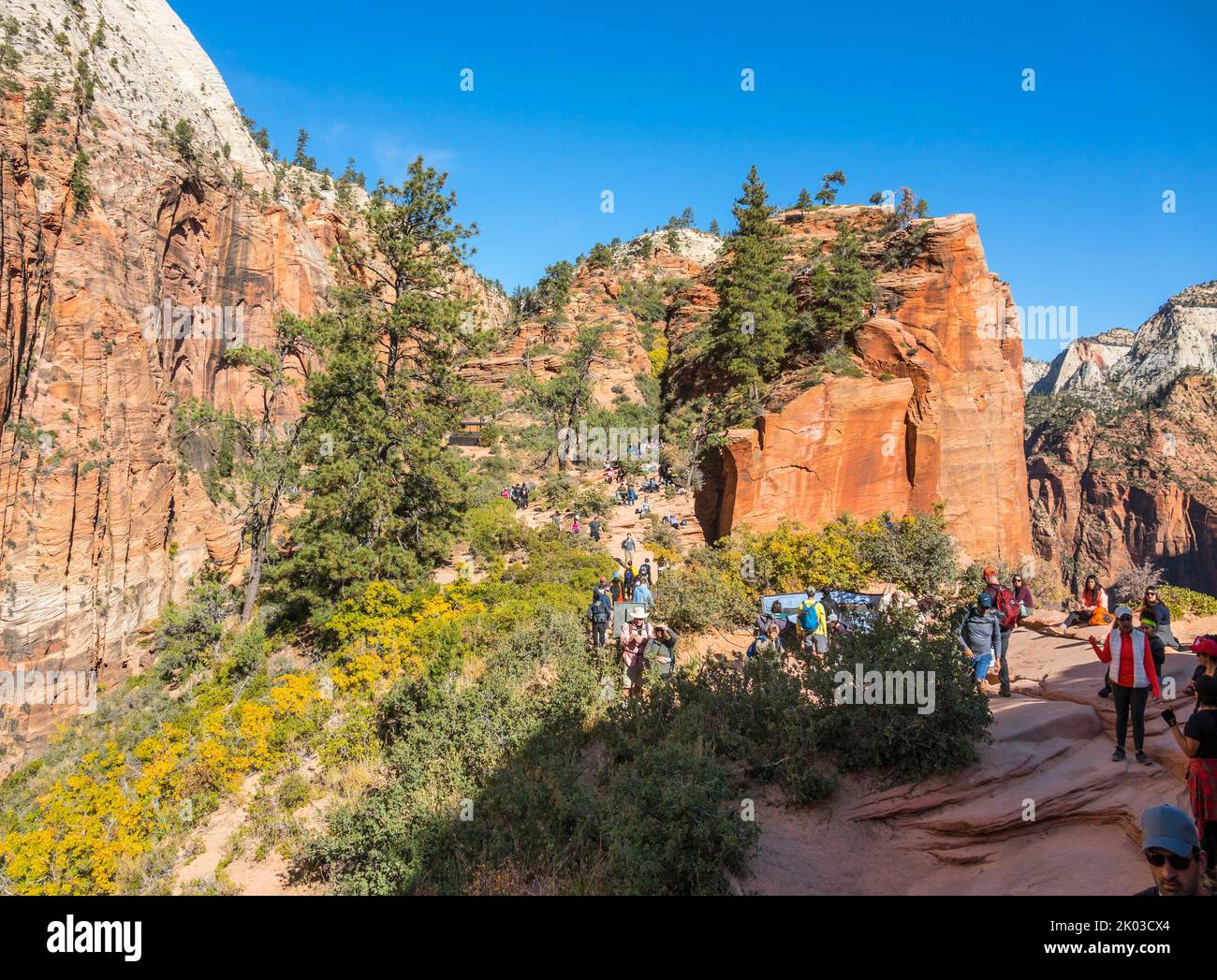 Zion National Park is located in southwestern Utah on the border with Arizona. It has an area of 579 kö² and lies between 1128 m and 2660 m altitude. West Rim Trail, tourists on the Scout Lookout. Stock Photo