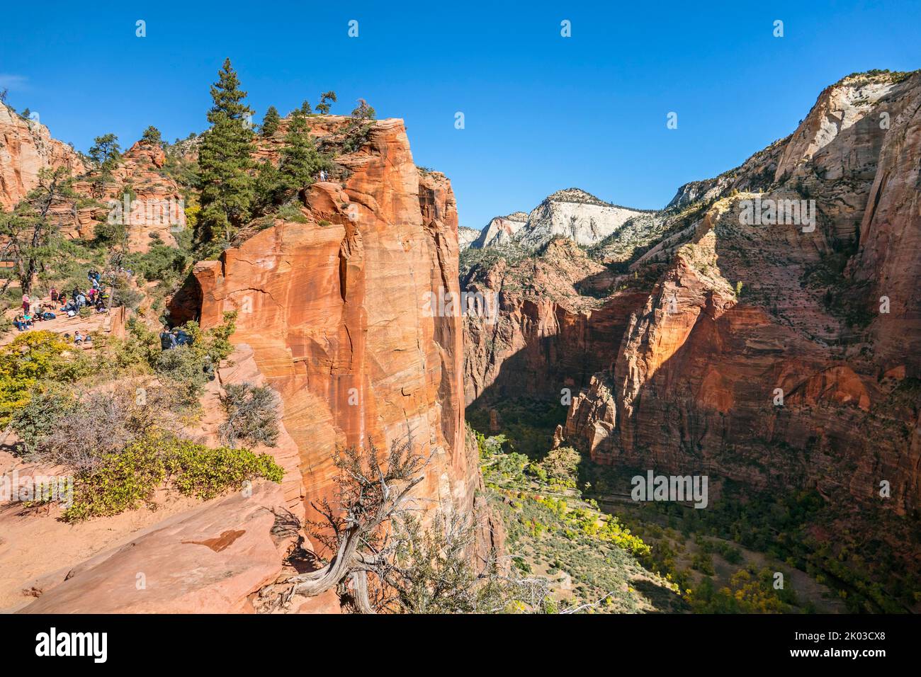 Zion National Park is located in southwestern Utah on the border with Arizona. It has an area of 579 kö² and lies between 1128 m and 2660 m altitude. View from Scout Lookout into the valley of the Virgin River Stock Photo