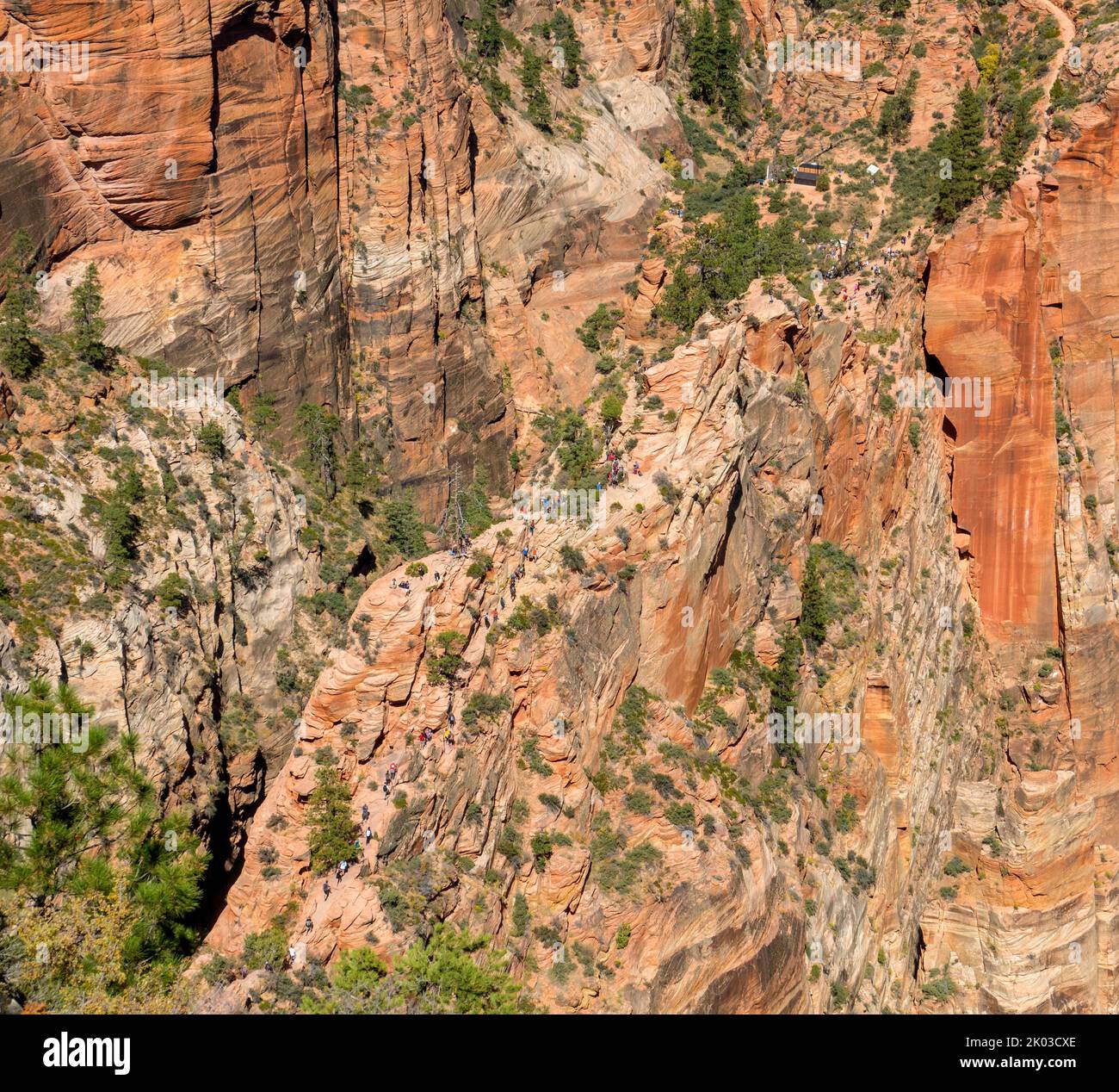 Zion National Park is located in southwestern Utah on the border with Arizona. It has an area of 579 kö² and lies between 1128 m and 2660 m altitude. The Angels Landing Trail between Scout Lookout and Angels Landing. Stock Photo