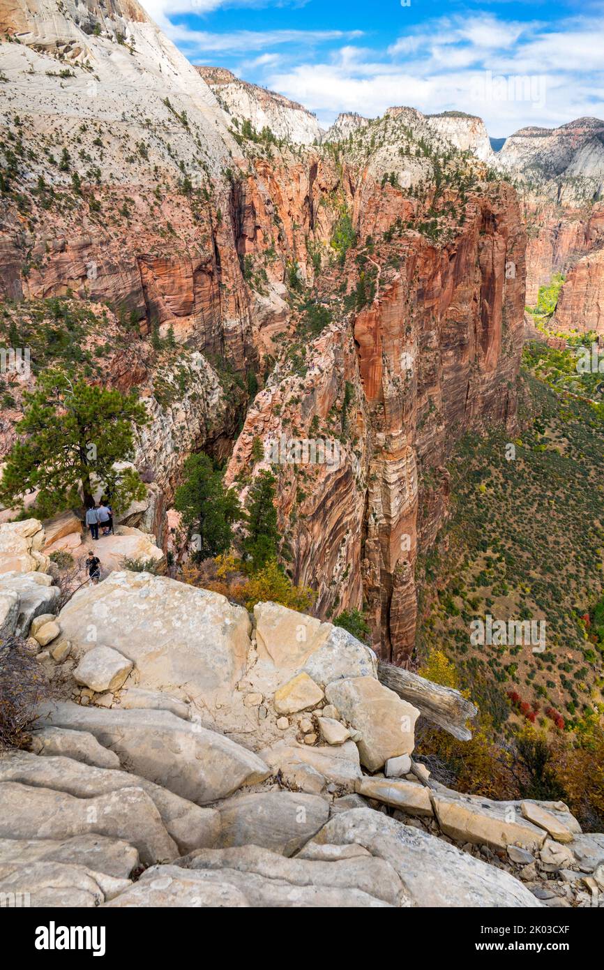 Zion National Park is located in southwestern Utah on the border with Arizona. It has an area of 579 kö² and lies between 1128 m and 2660 m altitude. View from Angels Landing back to Scout Lookout. Stock Photo