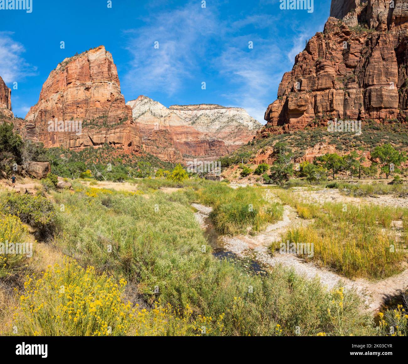 Zion National Park is located in southwestern Utah on the border with Arizona. It has an area of 579 kö² and lies between 1128 m and 2660 m altitude. Landscape in Zion Canyon on the West Rim Trail. View up the valley to Angels Landing. Stock Photo