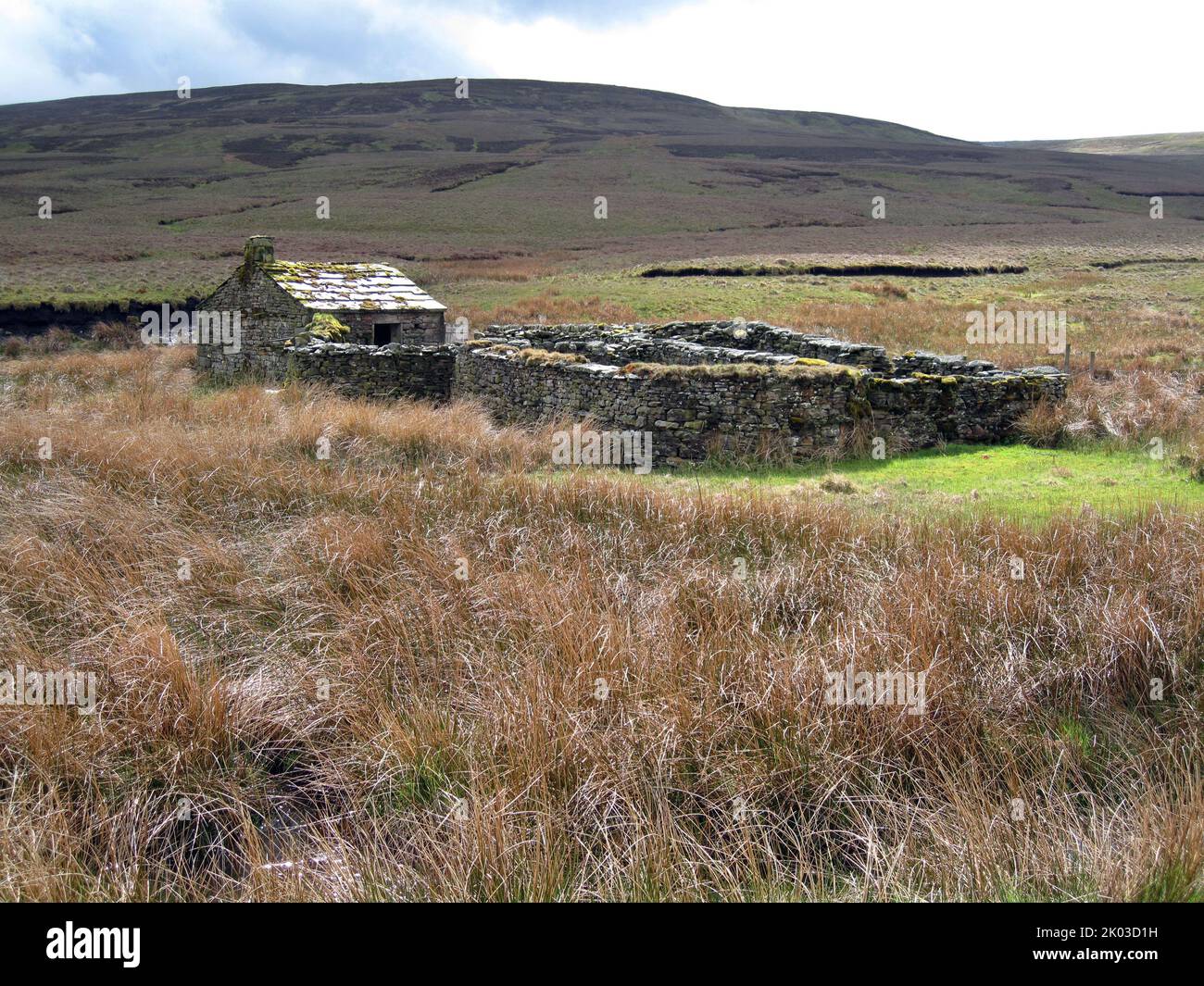 old stone cottage and enclosure on Birkdale Common,Yorkshire Dales National park, England Stock Photo