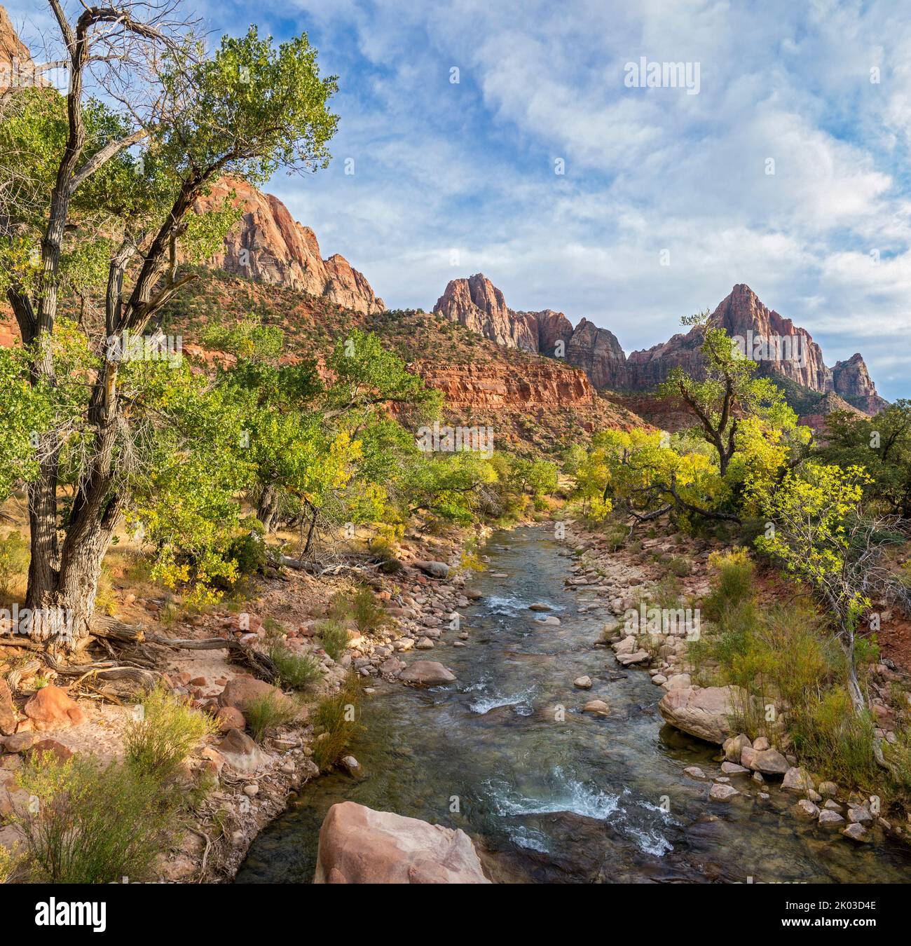 Zion National Park is located in southwestern Utah on the border with Arizona. It has an area of 579 kö² and lies between 1128 m and 2660 m altitude. View over the Virgin River to the mountain The Watchman Stock Photo