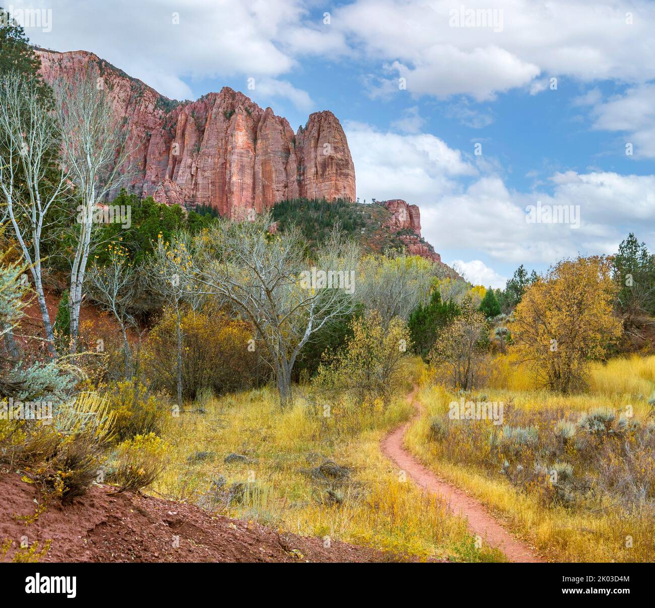 Zion National Park is located in southwestern Utah on the border with Arizona. It has an area of 579 kö² and lies between 1128 m and 2660 m altitude. Autumn landscape at La Verkin Creek Trail near Shuntavi Butte, Timber Top Mountain. Stock Photo