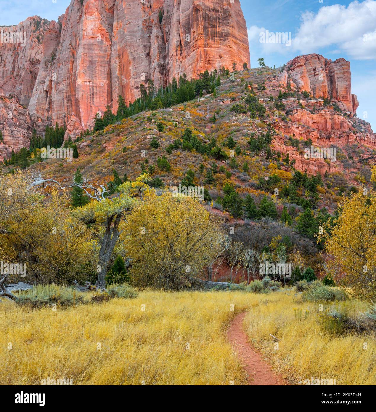 Zion National Park is located in southwestern Utah on the border with Arizona. It has an area of 579 kö² and lies between 1128 m and 2660 m altitude. Autumn landscape at La Verkin Creek Trail near Shuntavi Butte, Timber Top Mountain. Stock Photo