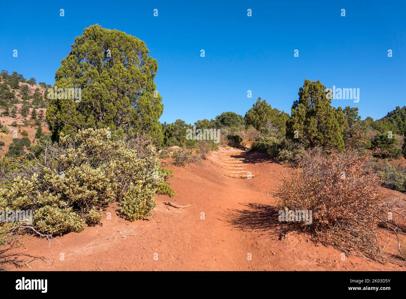 Zion National Park is located in southwestern Utah on the border with