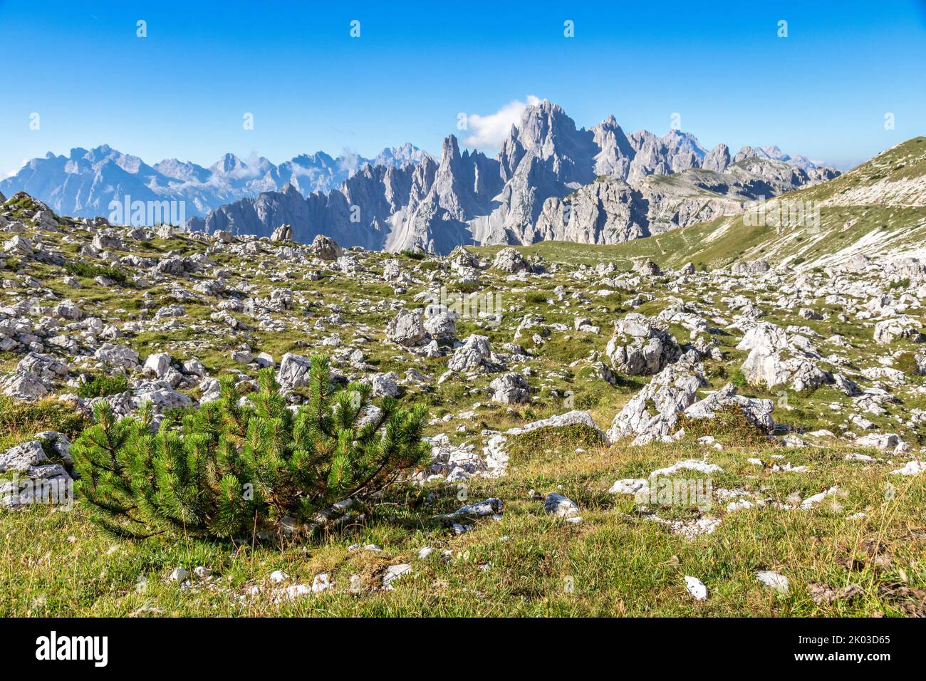 Italy, Veneto, Auronzo di Cadore, Dolomites. Cadini di Misurina as seen from Lavaredo plateau, Dolomites Stock Photo