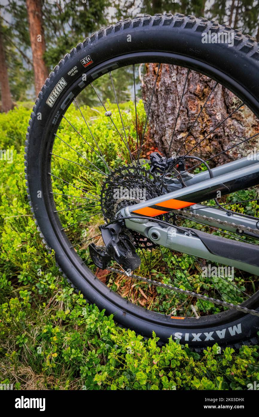 Italy, Dolomites, detail of a modern e-bike / e-mtb in the forest, green mobility Stock Photo