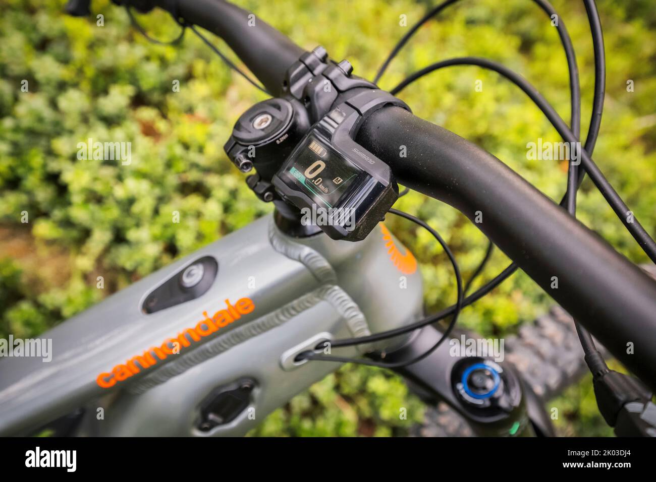 Italy, Dolomites, detail of a modern e-bike / e-mtb in the forest, green mobility Stock Photo