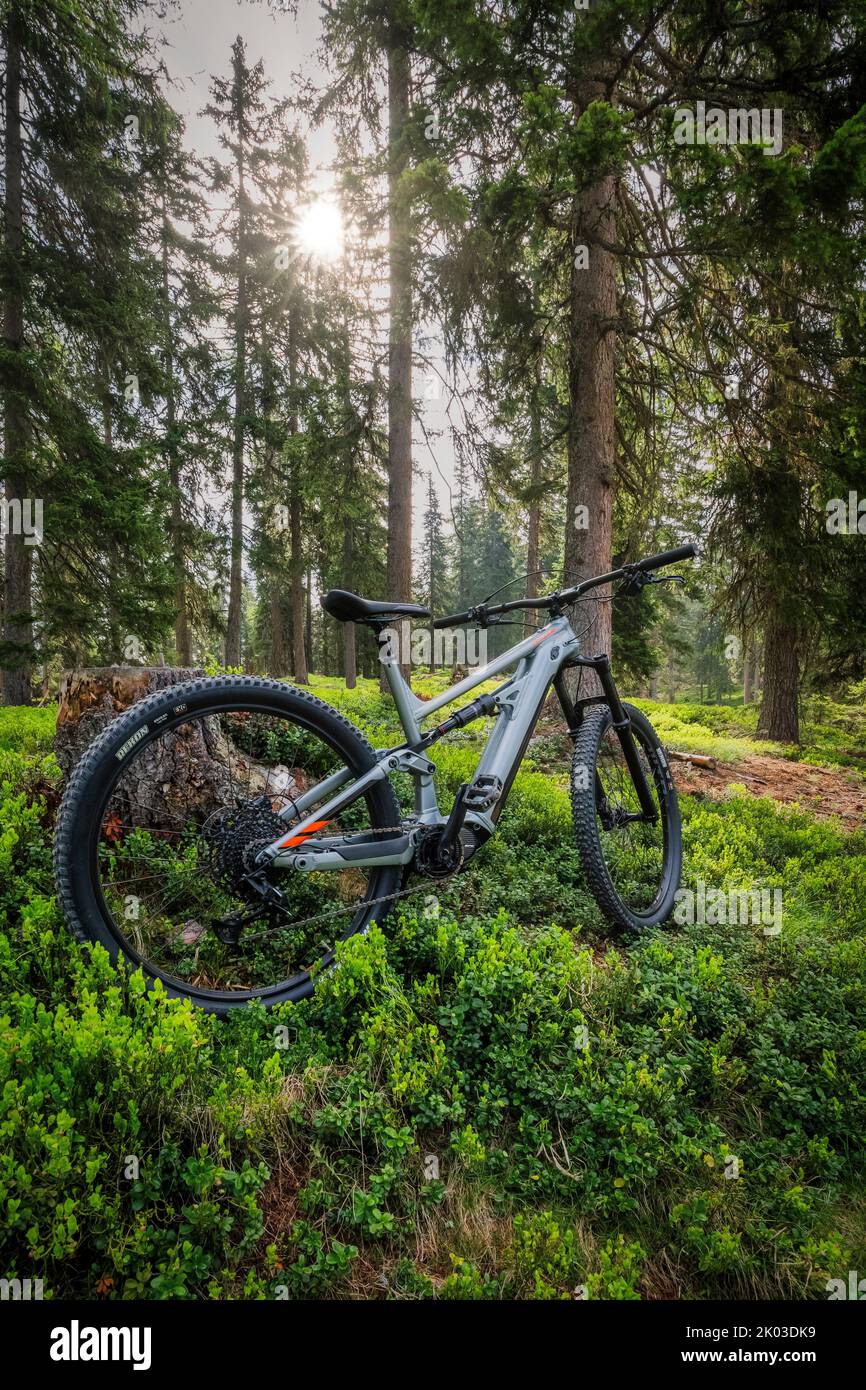 Italy, Dolomites, a modern e-bike / e-mtb in the forest, green mobility Stock Photo