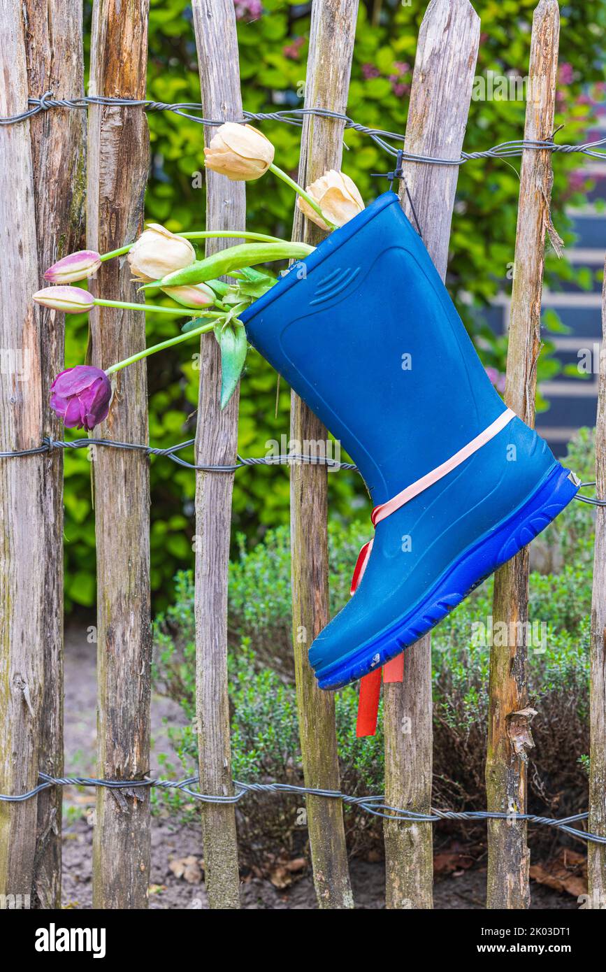 Garden decoration, rubber boots with tulips Stock Photo