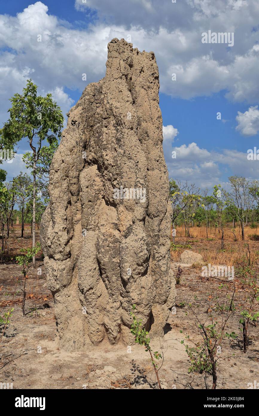 168 Termite mound near Kakadu National Park western limits. Northern Territory-Australia Stock Photo