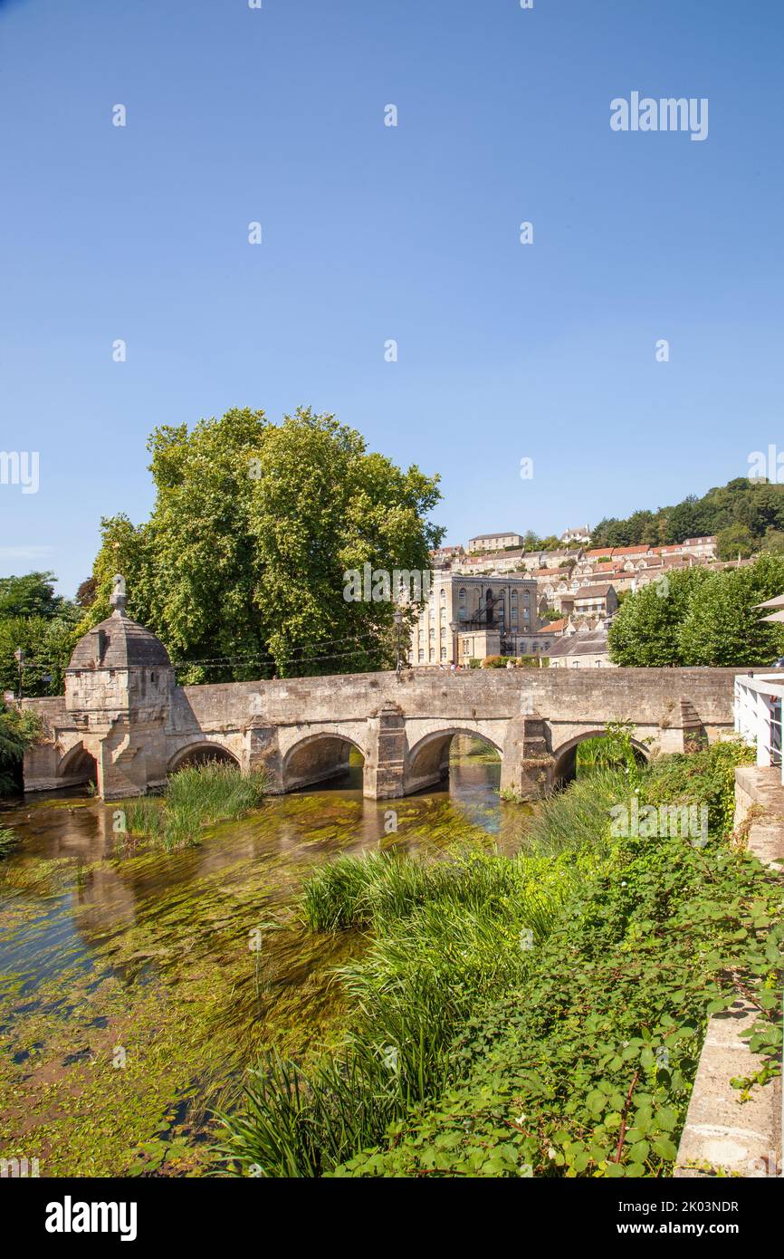 The river Avon passing under the old town bridge in the Wiltshire market town of Bradford on Avon  Wiltshire England Stock Photo
