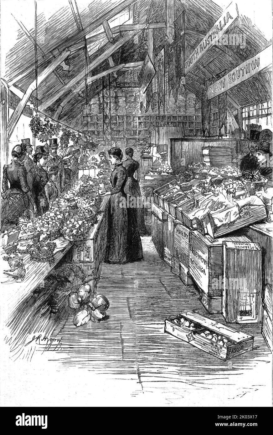 'The Colonial and Indian Exhibition; The Australian fruit stalls in the Colonial Market', 1886. From &quot;The Graphic. An Illustrated Weekly Newspaper Volume 33. January to June, 1886&quot;. Stock Photo