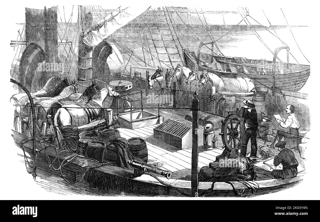 Shipping Artillery Horses at Calais, for the French Expeditionary Force