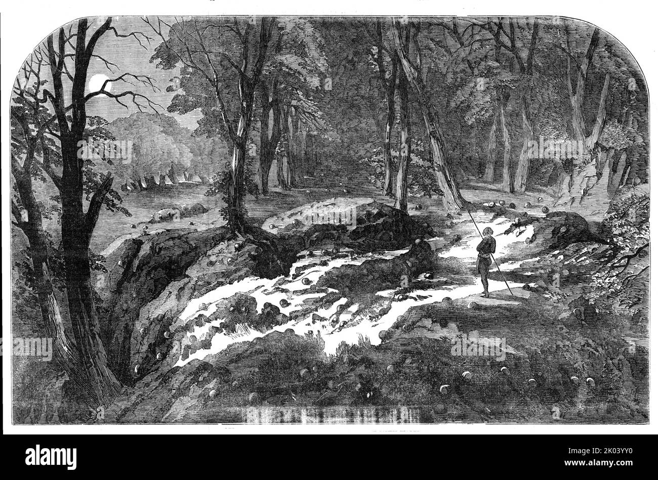 &quot;The Great Geological Wonder&quot; of New South Wales, 1854. Unusual rock formation in Australia. 'The moon has lent her mystic influence to the scene. The view is taken at the top of a cliff, where the rocks present all the appearance of having been shattered and battered by artillery. Here are globular pieces resembling the largest cannon-balls; they are of grey granite with white centres. Some of them are half plunged into the mass of rock, and must have been thrown into their present position ages ago, when the granite mass, which is of a different colour and description, was in a sof Stock Photo