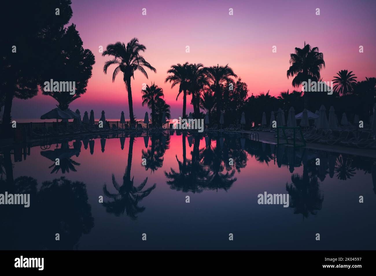Silhouette of palm trees at the resort pool on pink and purple sunset sky, landscape image. Stock Photo